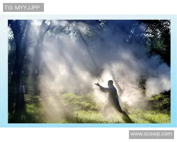 武术文化的传承与创新探索：从传统技艺到现代竞技的演变与挑战