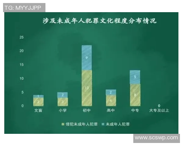 竞技体操C级难度训练与比赛策略探析及其对选手技能提升的作用