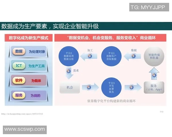 职业联赛发展新机遇与挑战：数字化转型与全球化视野的融合探索