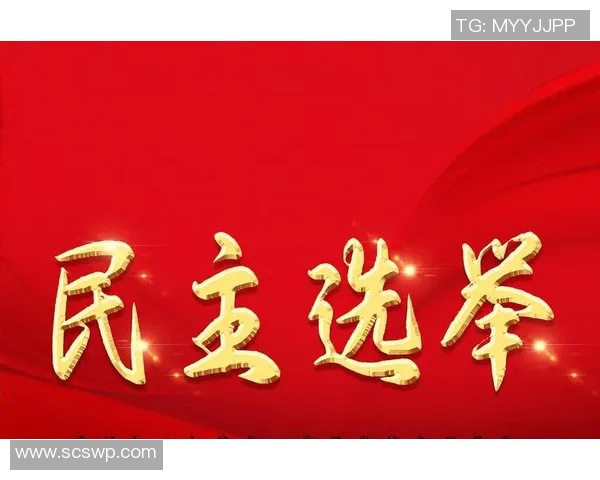 选举制度改革与民主进程：全球视野下的挑战与机遇分析